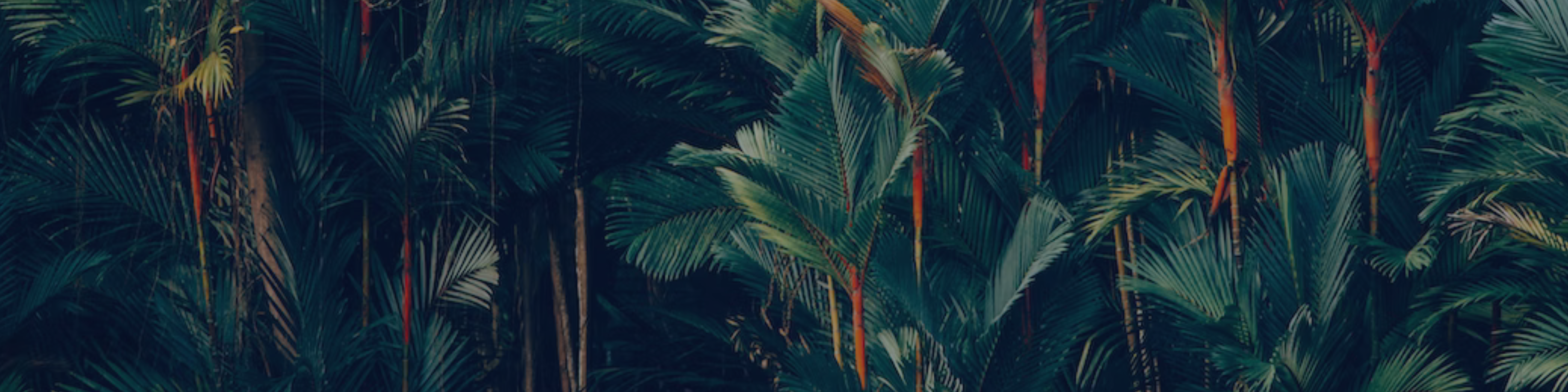 user banner